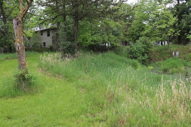 N5642 8th Dr, Westfield, WI 53964 - view of local wilderness