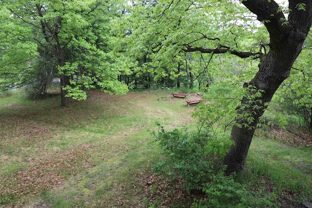 N5642 8th Dr, Westfield, WI 53964 - view of yard featuring a wooded view