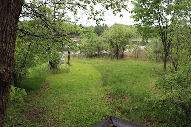 N5642 8th Dr, Westfield, WI 53964 - view of yard