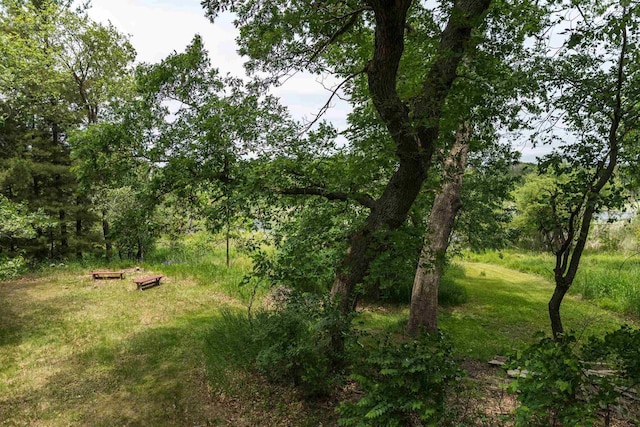 N5642 8th Dr, Westfield, WI 53964 - view of undeveloped land
