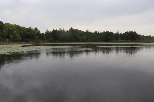 N5642 8th Dr, Westfield, WI 53964 - water view with a forest