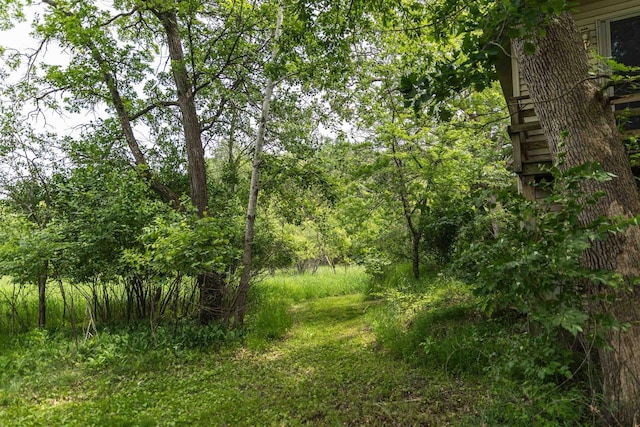 N5642 8th Dr, Westfield, WI 53964 - view of nature