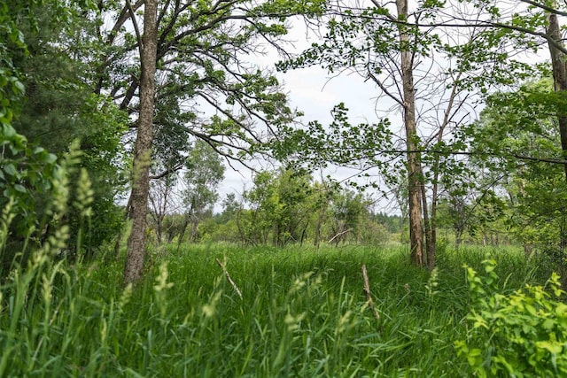 N5642 8th Dr, Westfield, WI 53964 - view of nature