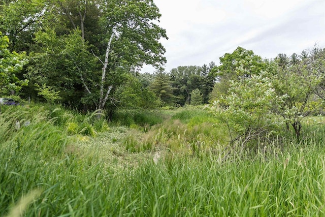 N5642 8th Dr, Westfield, WI 53964 - view of wooded area