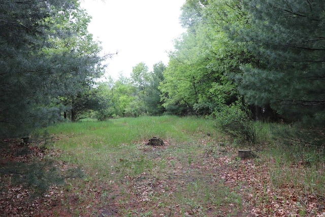 N5642 8th Dr, Westfield, WI 53964 - view of yard featuring a view of trees