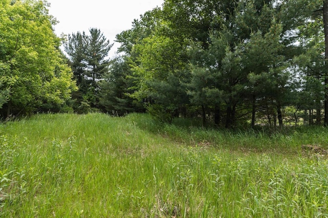 N5642 8th Dr, Westfield, WI 53964 - view of local wilderness