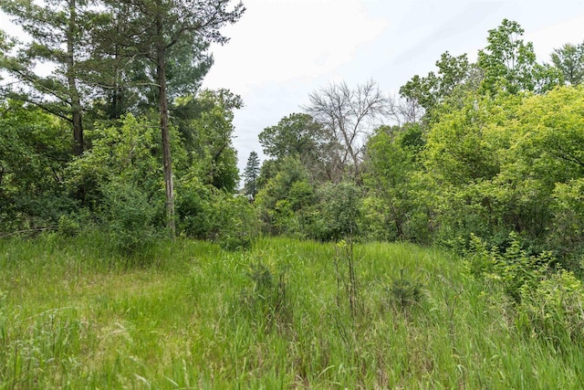 N5642 8th Dr, Westfield, WI 53964 - view of wooded area