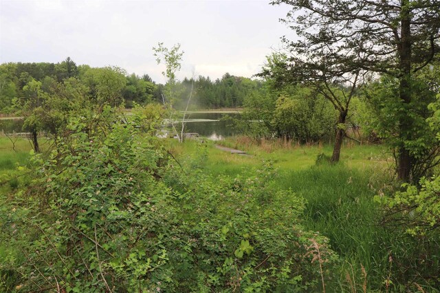 N5642 8th Dr, Westfield, WI 53964 - view of woods featuring a water view
