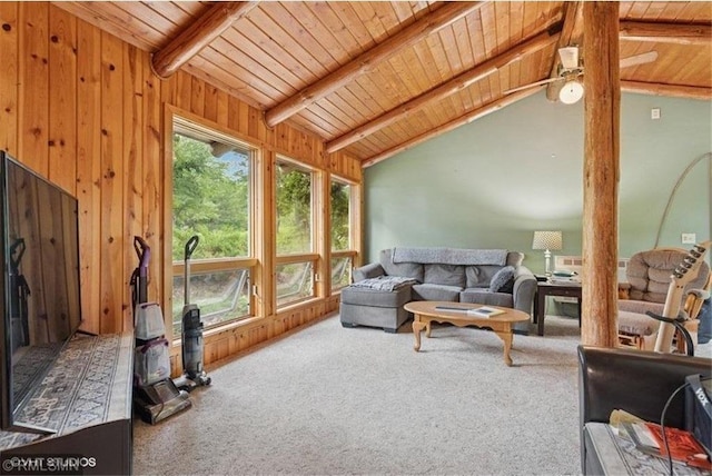 2818 Wilson Ave, Saint Croix Falls, WI 54024 - carpeted living room with wood ceiling and wood walls