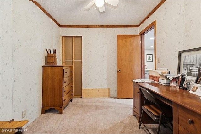 2818 Wilson Ave, Saint Croix Falls, WI 54024 - home office featuring ornamental molding, ceiling fan, light colored carpet, and a textured ceiling