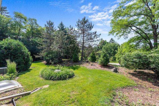 7062 S Fieldstone Ct, Franklin, WI 53132 - view of green lawn