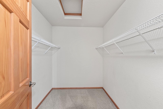 7062 S Fieldstone Ct, Franklin, WI 53132 - walk in closet with light carpet and attic access
