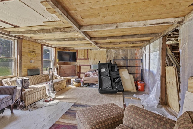 W6525 Beechnut Ave, Wild Rose, WI 54984 - below grade area featuring wooden walls, healthy amount of natural light, and wooden ceiling