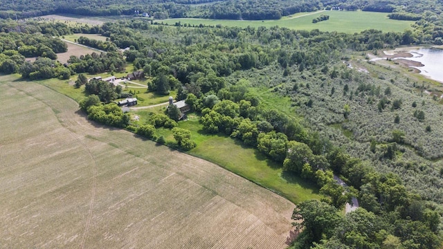 W6525 Beechnut Ave, Wild Rose, WI 54984 - overview of rural landscape