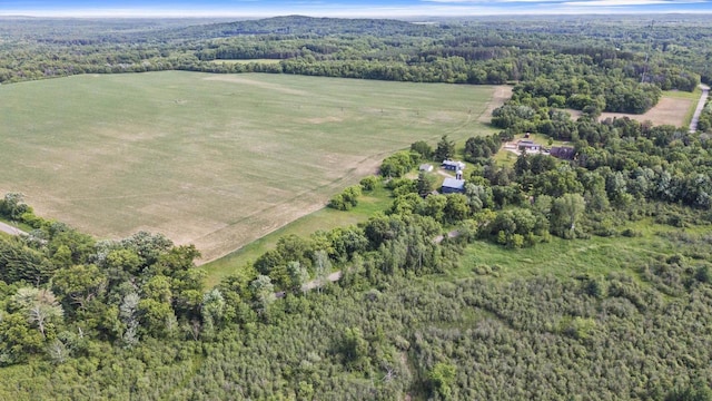 W6525 Beechnut Ave, Wild Rose, WI 54984 - view of property location with a forest and rural landscape