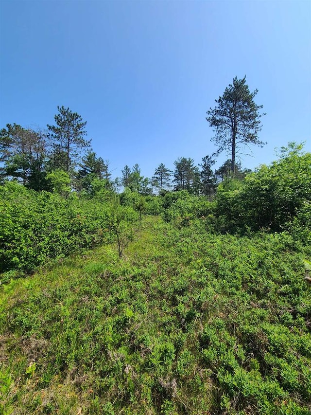 Sheik Ln, Crivitz, WI 54114