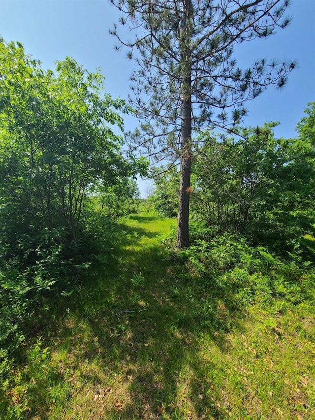 Sheik Ln, Crivitz, WI 54114