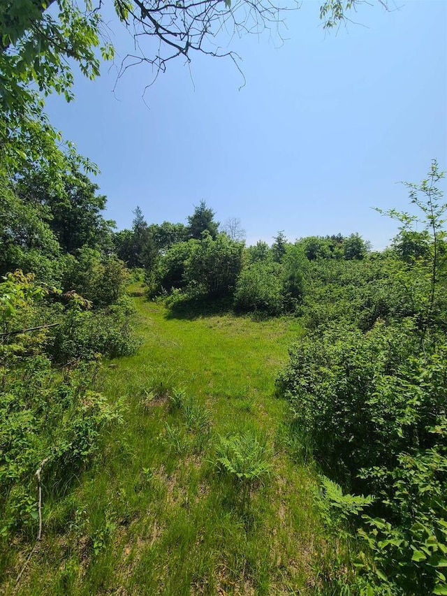 Sheik Ln, Crivitz, WI 54114