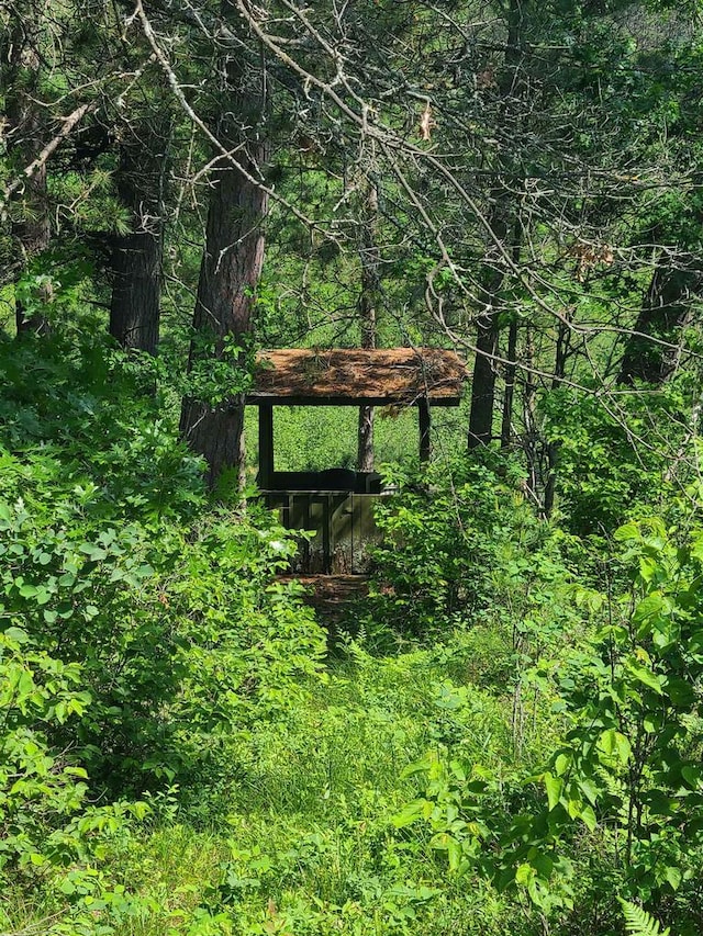Sheik Ln, Crivitz, WI 54114