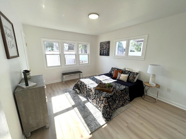 3041 N 52nd St, Milwaukee, WI 53210 - bedroom with wood finished floors and baseboards