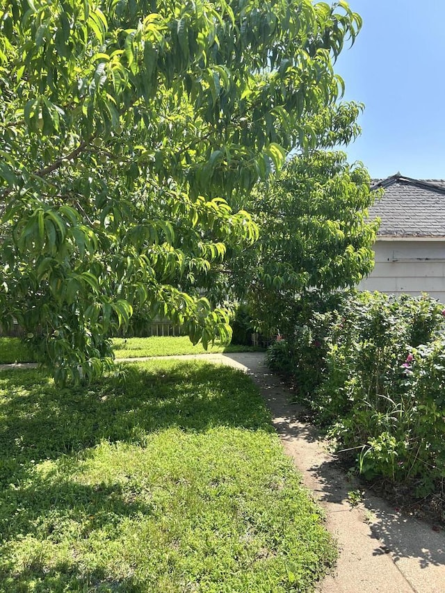 512 Division St, Stoddard, WI 54658 - view of green lawn