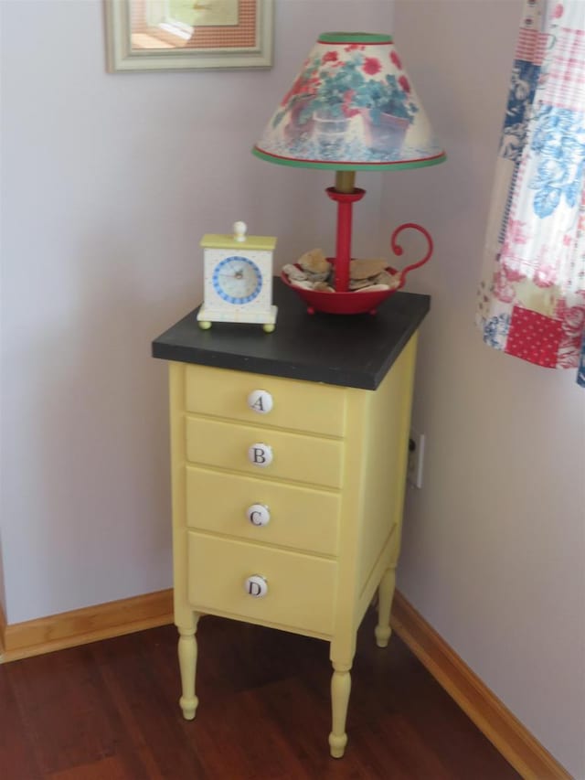 306 N Sales St Unit # 1, Merrill, WI 54452 - detailed view of wood finished floors