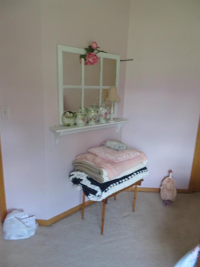 306 N Sales St Unit # 1, Merrill, WI 54452 - detailed view of carpet flooring and baseboards
