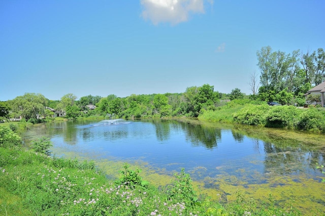 W192S7850 Overlook Bay Rd Unit 3, Muskego, WI 53150 - water view