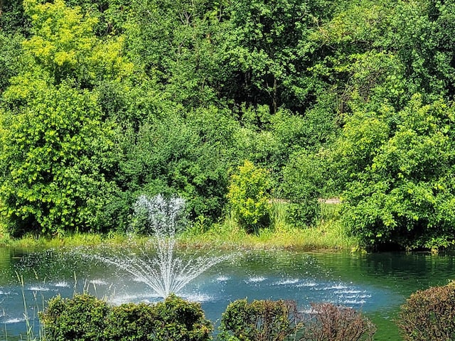 N113W16241 Sylvan Cir Unit 110, Germantown, WI 53022 - water view