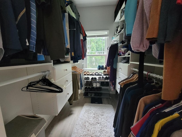 N113W16241 Sylvan Cir Unit 110, Germantown, WI 53022 - walk in closet featuring wood finished floors