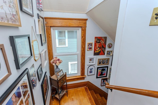 1756 Church St, Stevens Point, WI 54481 - hallway with lofted ceiling, wood finished floors, and healthy amount of natural light