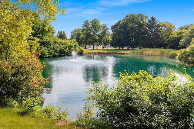 1820 Ridgeway Dr Unit 12A, De Pere, WI 54115 - water view