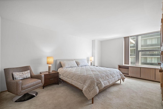 1610 N Prospect Ave Unit 1104, Milwaukee, WI 53202 - bedroom with light carpet and radiator