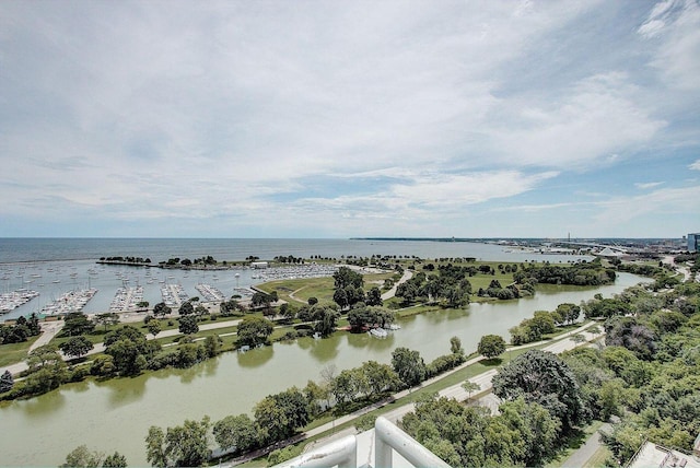 1610 N Prospect Ave Unit 1104, Milwaukee, WI 53202 - water view