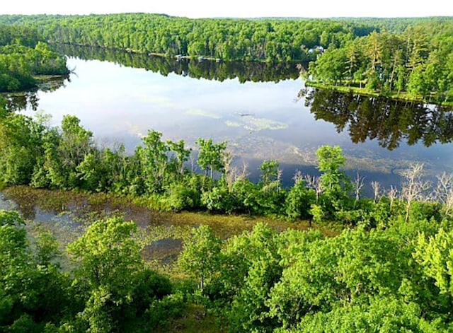 W4799 Rocky Hill Dr, Pembine, WI 54156 - water view featuring a heavily wooded area