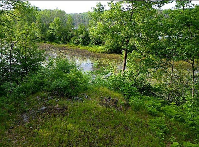 W4799 Rocky Hill Dr, Pembine, WI 54156 - water view with a heavily wooded area
