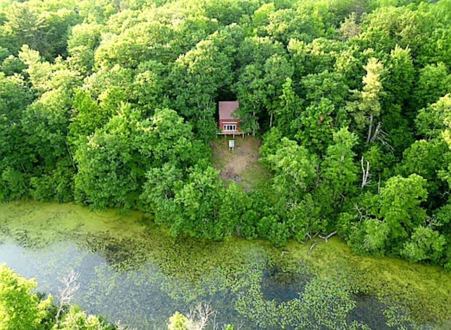 W4799 Rocky Hill Dr, Pembine, WI 54156 - aerial overview of property's location featuring a forest and a nearby body of water