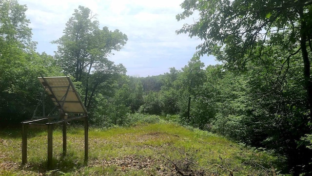 W4799 Rocky Hill Dr, Pembine, WI 54156 - view of yard featuring a forest view
