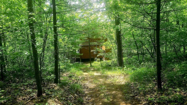 W4799 Rocky Hill Dr, Pembine, WI 54156 - view of wooded area