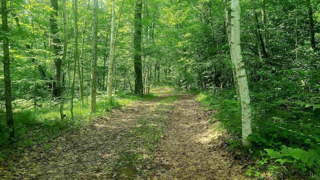 W4799 Rocky Hill Dr, Pembine, WI 54156 - view of wooded area