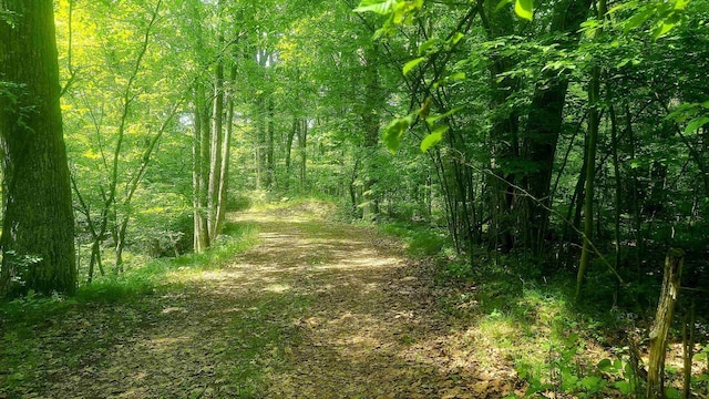 W4799 Rocky Hill Dr, Pembine, WI 54156 - view of wooded area
