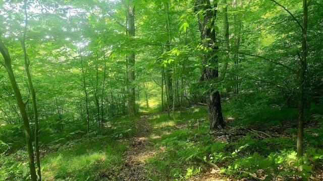 W4799 Rocky Hill Dr, Pembine, WI 54156 - view of woods