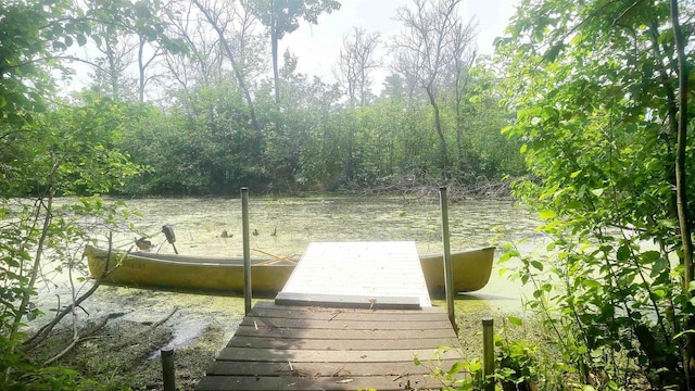 W4799 Rocky Hill Dr, Pembine, WI 54156 - dock featuring a water view