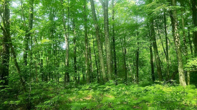 W4799 Rocky Hill Dr, Pembine, WI 54156 - view of woods