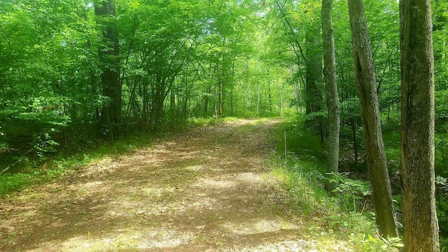 W4799 Rocky Hill Dr, Pembine, WI 54156 - view of wooded area