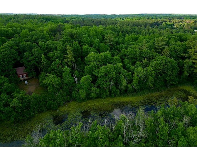 W4799 Rocky Hill Dr, Pembine, WI 54156 - drone / aerial view of a forest