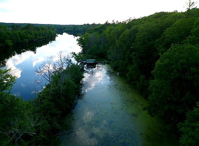 W4799 Rocky Hill Dr, Pembine, WI 54156 - water view featuring a heavily wooded area