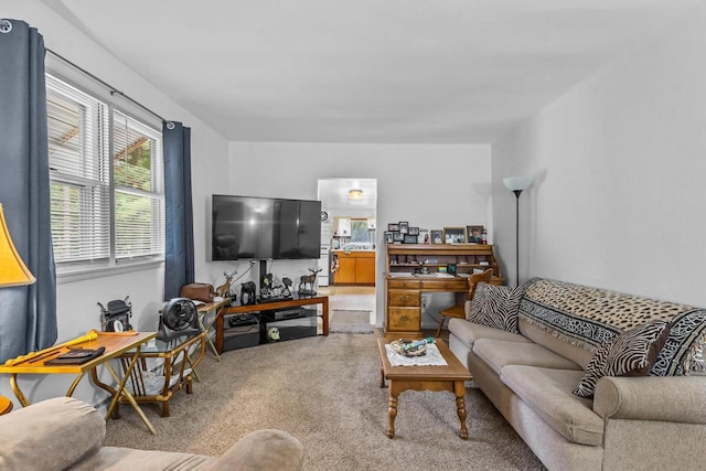W914 Madsen Rd, Marinette, WI 54143 - living room with light colored carpet