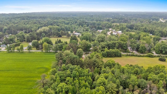 W914 Madsen Rd, Marinette, WI 54143 - bird's eye view of a forest
