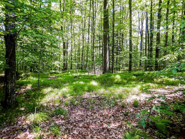 N12366 Chisum Trl, Athelstane, WI 54104 - view of woods